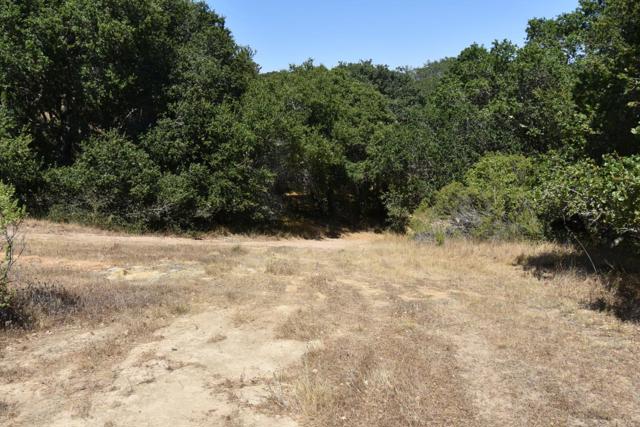 MLS #ML81994433 image #39