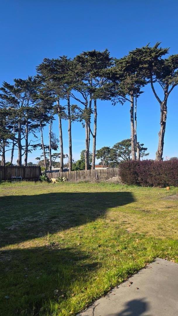 MLS #ML81995469 image #5