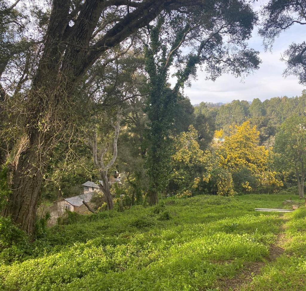 MLS #ML81996921 image #1