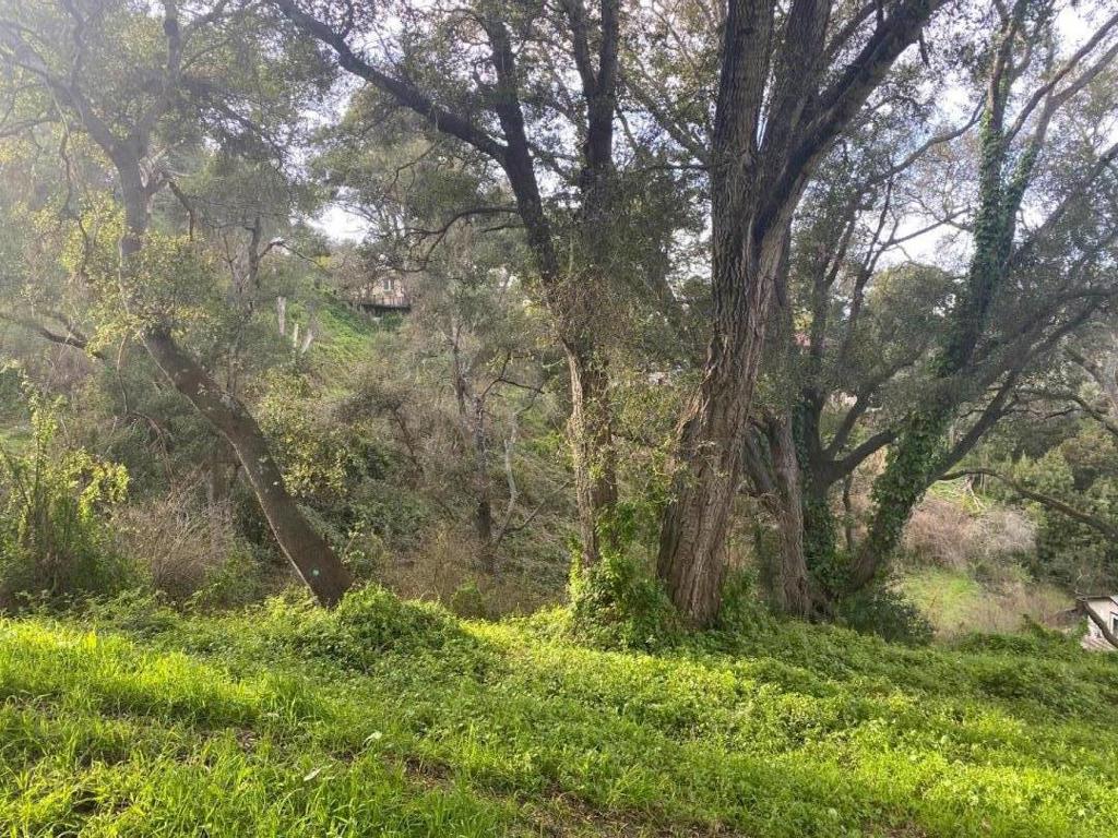 MLS #ML81996921 image #2