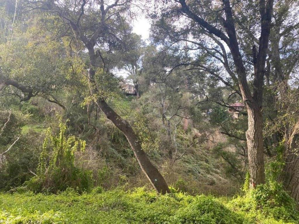 MLS #ML81996921 image #3