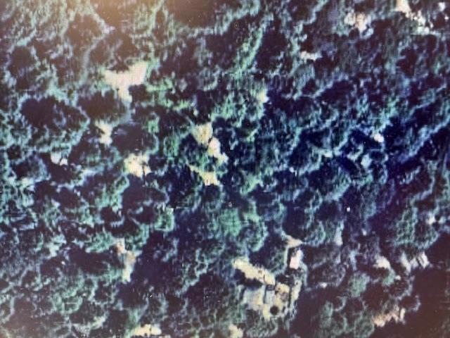 MLS #ML81998161 image #5