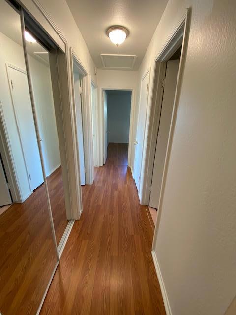 MLS #ML81998235 image #6