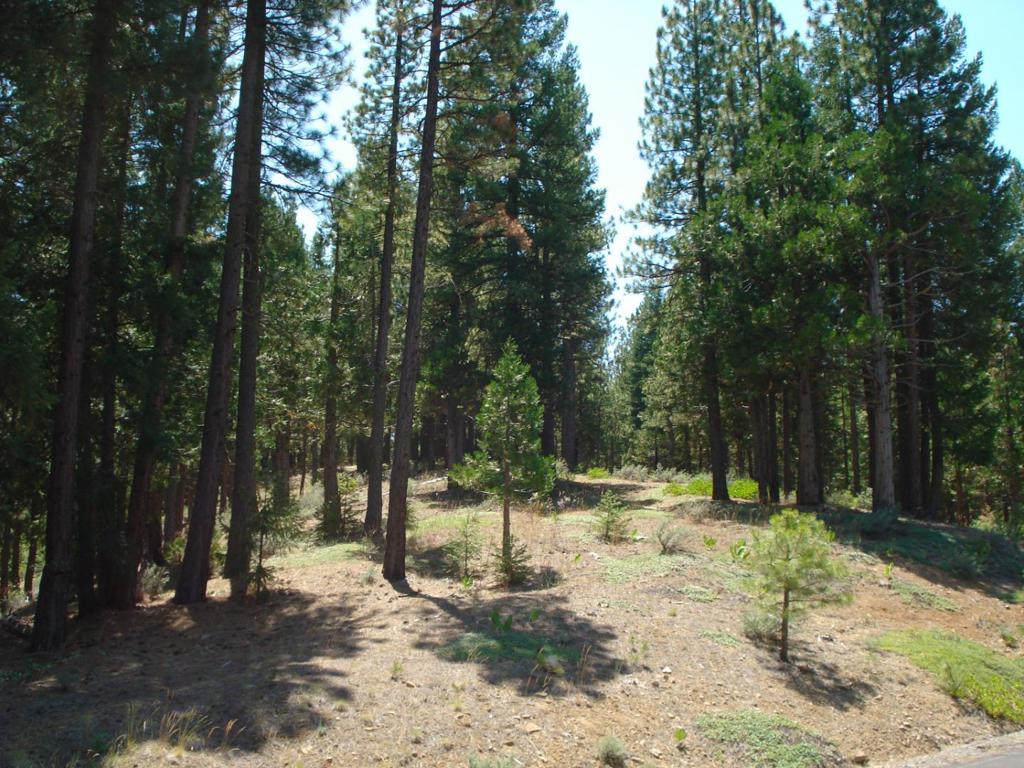 MLS #ML81998486 image #0