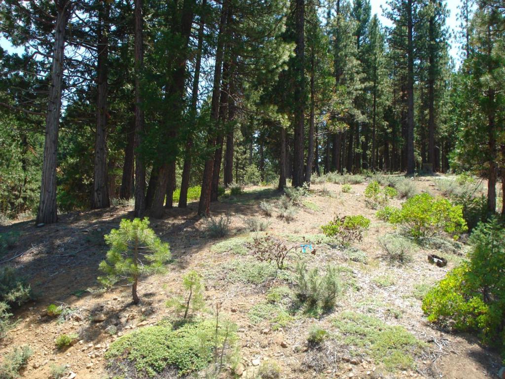 MLS #ML81998486 image #4