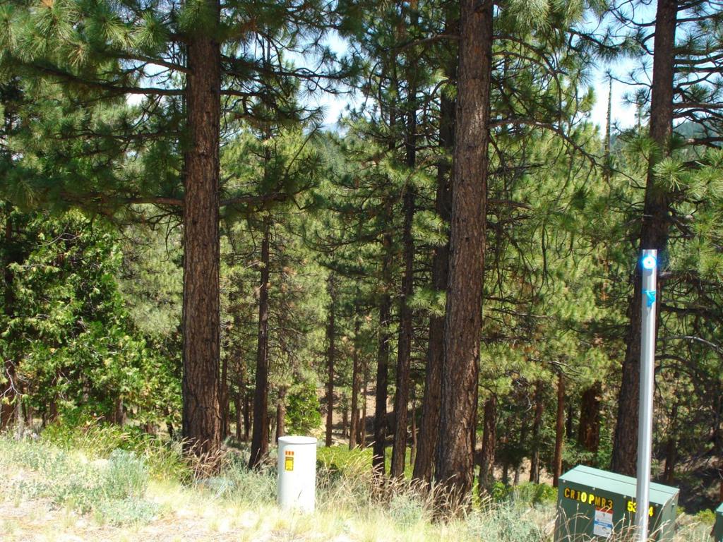 MLS #ML81998486 image #5