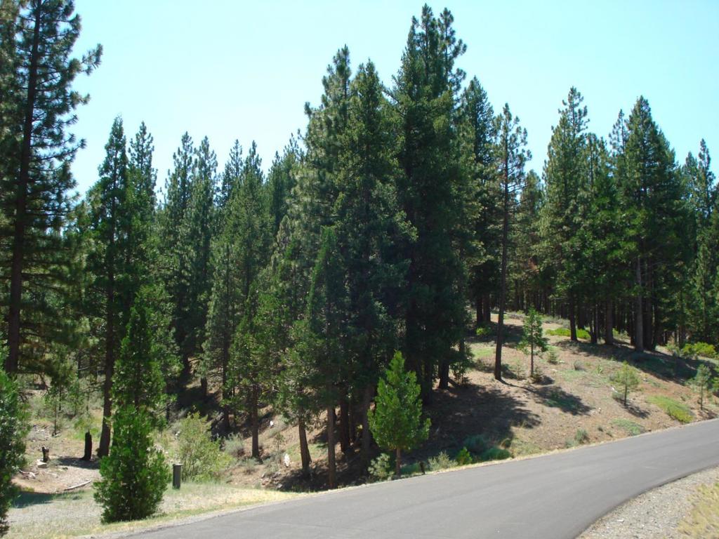 MLS #ML81998486 image #8