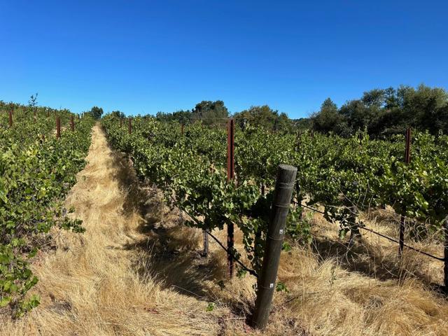 MLS #ML81998600 image #10