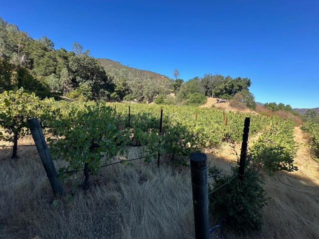 MLS #ML81998600 image #5