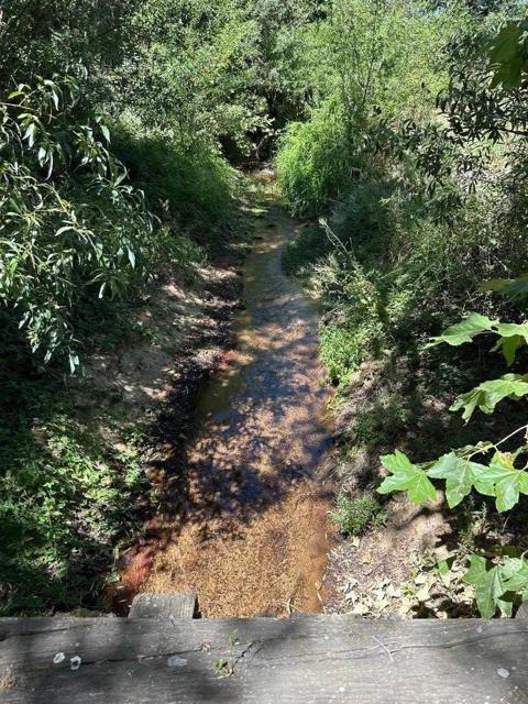 MLS #ML81998600 image #8