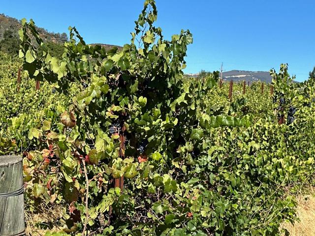 MLS #ML81998600 image #9