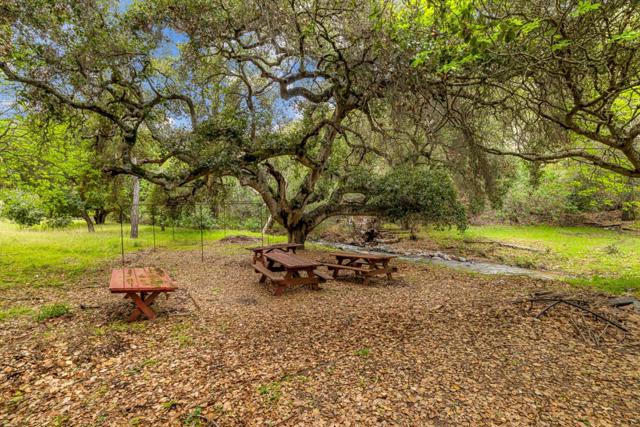 MLS #ML81998990 image #17