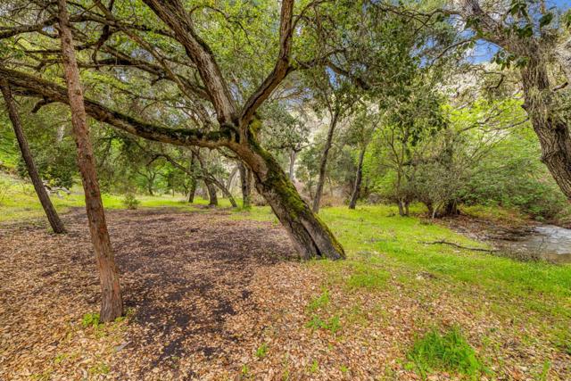 MLS #ML81998990 image #26