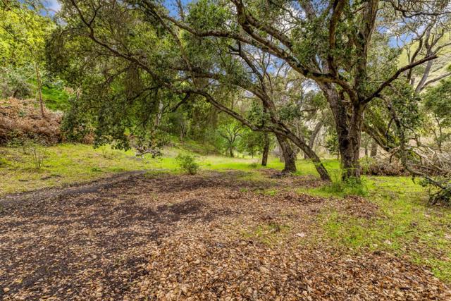 MLS #ML81998990 image #28