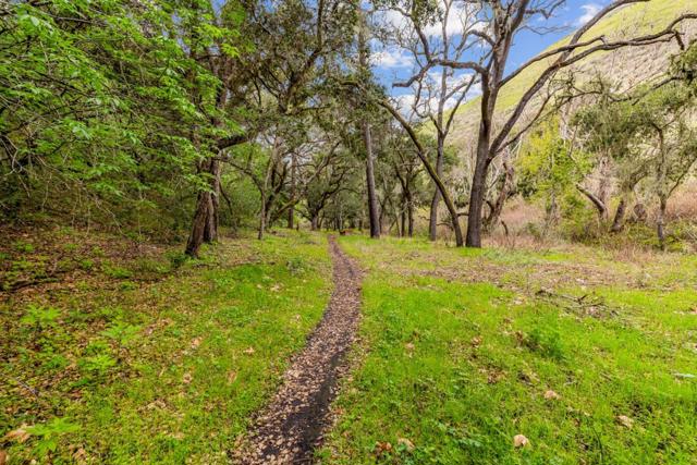 MLS #ML81998990 image #29