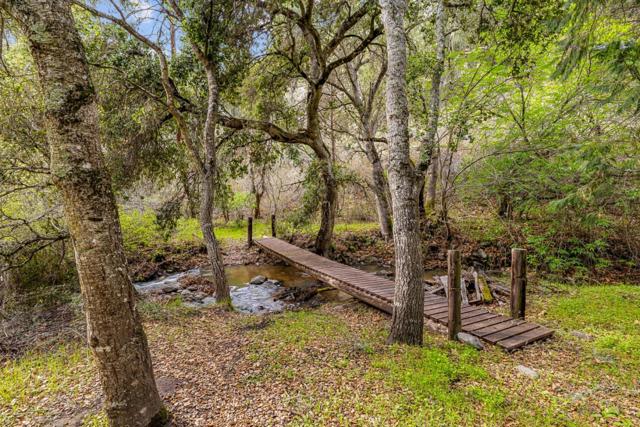 MLS #ML81998990 image #32