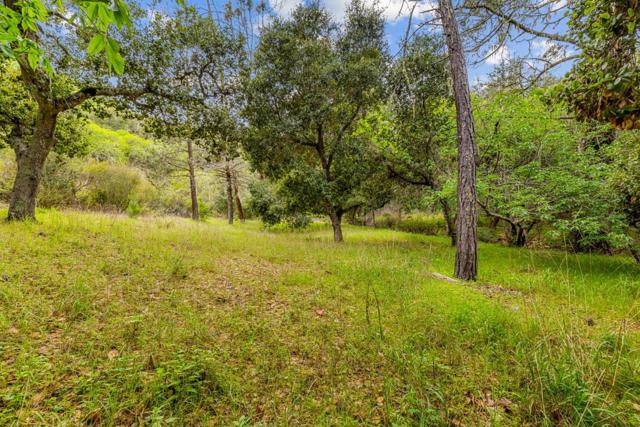 MLS #ML81999097 image #18