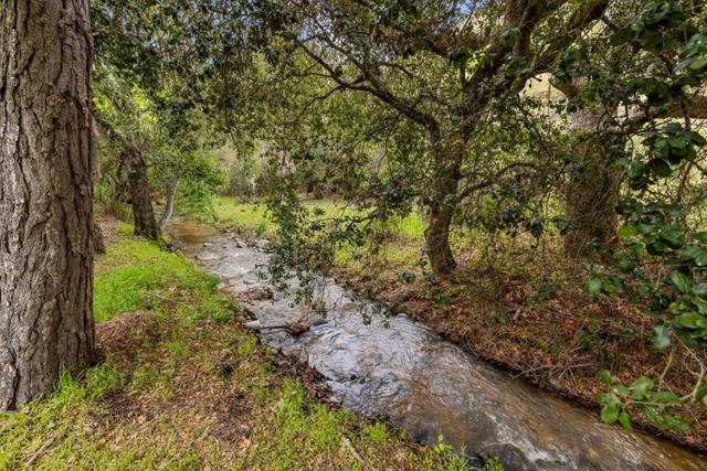 MLS #ML81999097 image #19