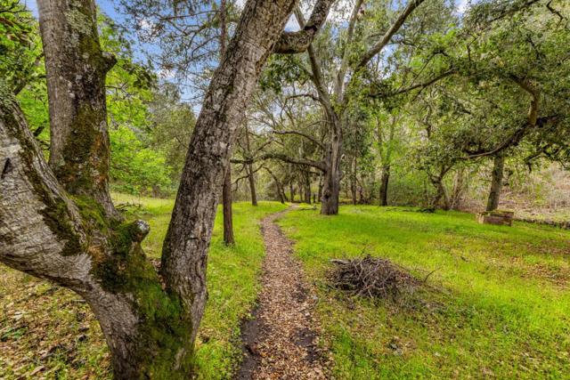 MLS #ML81999097 image #31