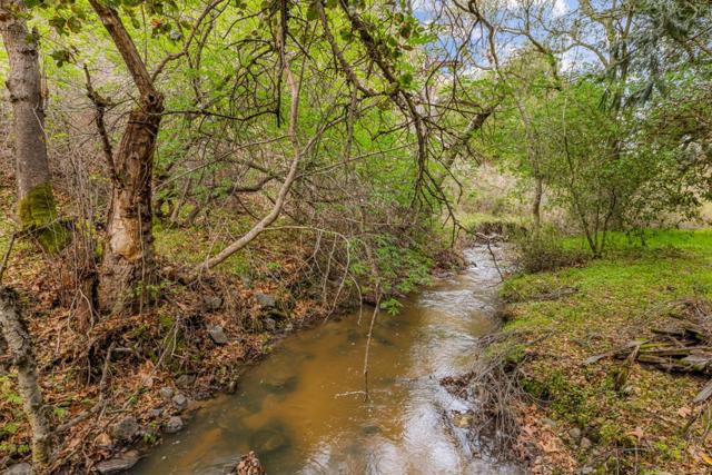 MLS #ML81999097 image #34