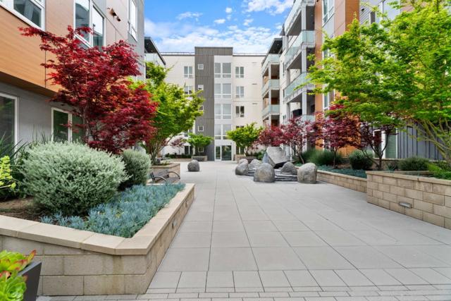 MLS #ML82003135 image #33