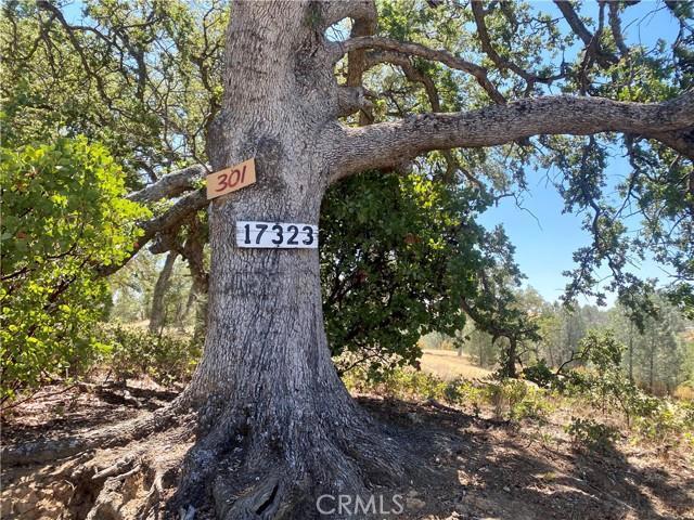 MLS #ML82003200 image #0