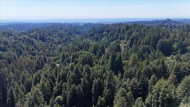 MLS #ML82003458 image #52