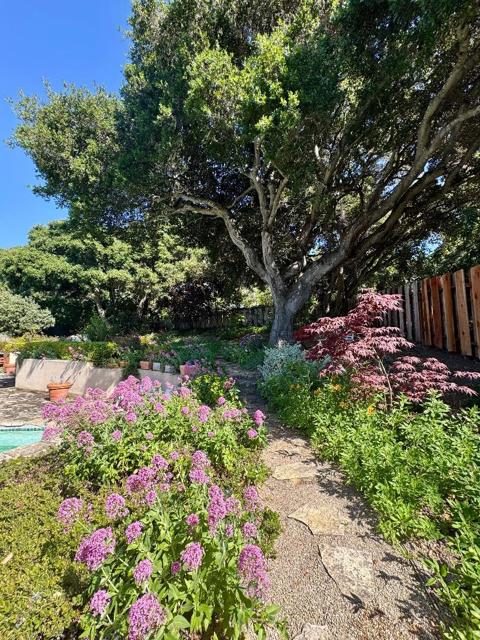 MLS #ML82003758 image #24