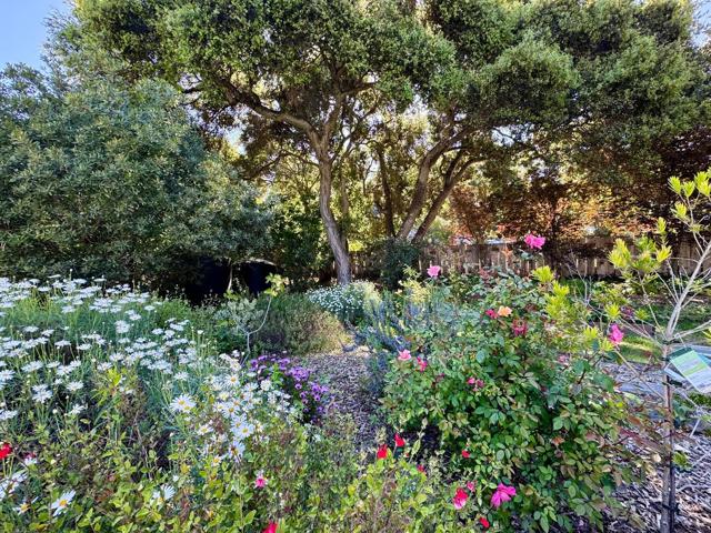 MLS #ML82003758 image #30