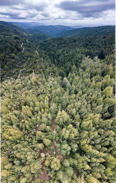 MLS #ML82006174 image #14