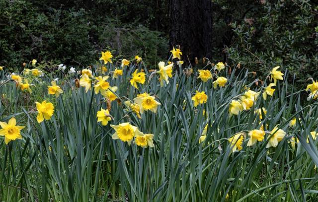 MLS #ML82006174 image #18