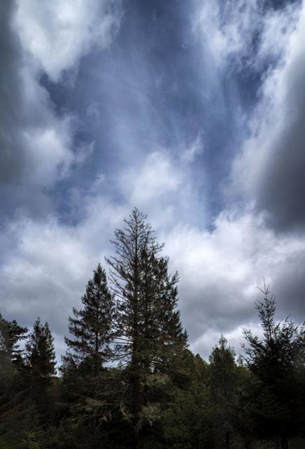 MLS #ML82006174 image #19