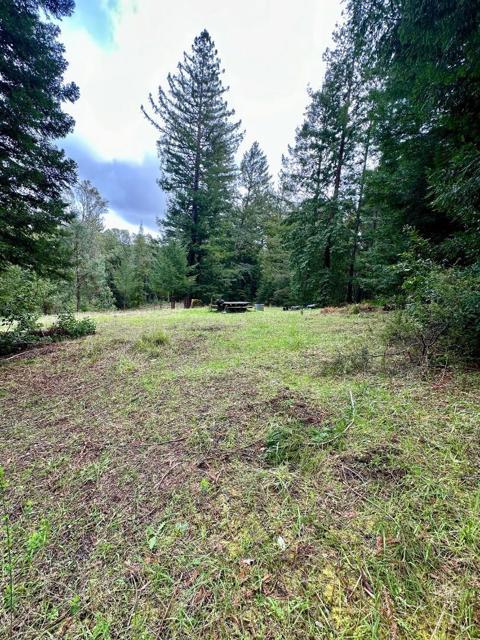 MLS #ML82006174 image #7