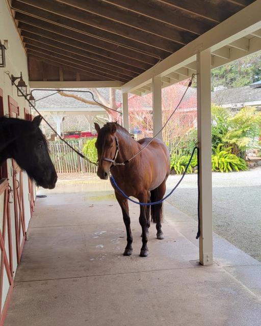 MLS #ML82006280 image #24