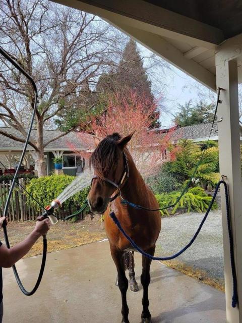 MLS #ML82006280 image #25