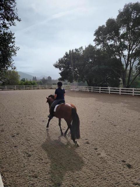 MLS #ML82006280 image #26