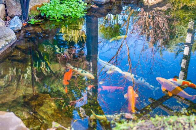 MLS #ML82006280 image #39