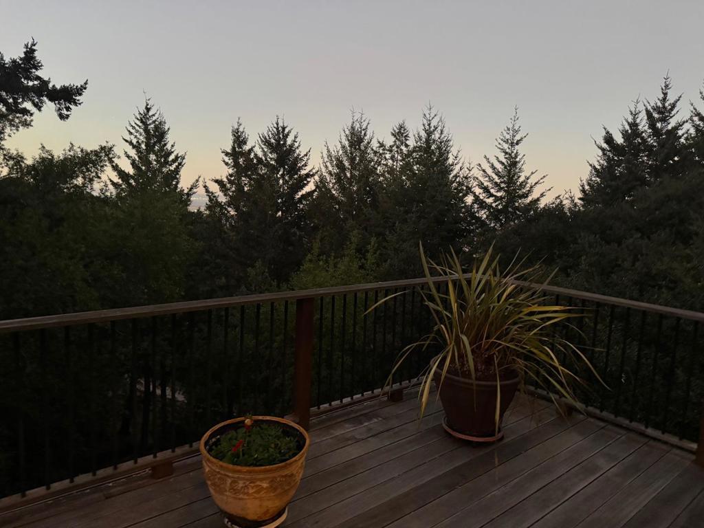 MLS #ML82007583 image #85