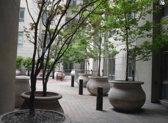 MLS #ML82009179 image #16