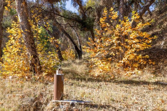 MLS #ML82009487 image #21