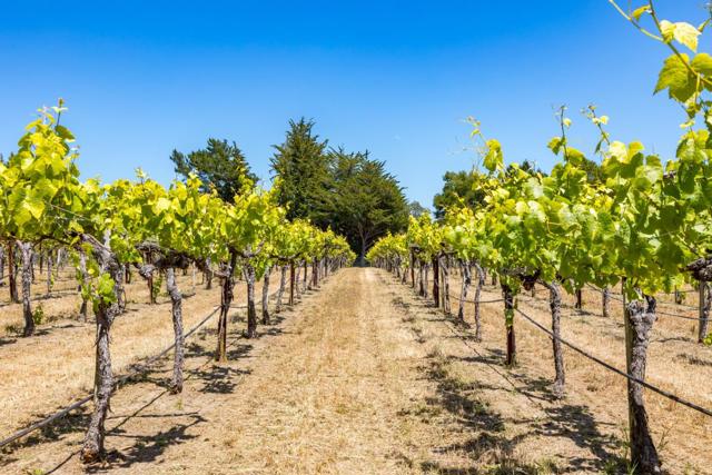 MLS #ML82010493 image #70