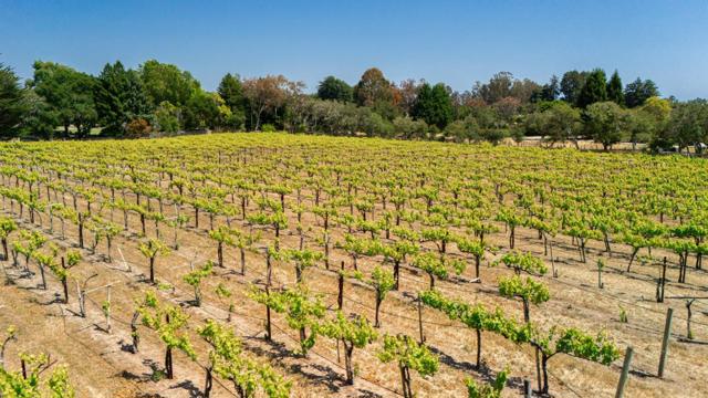 MLS #ML82010493 image #71