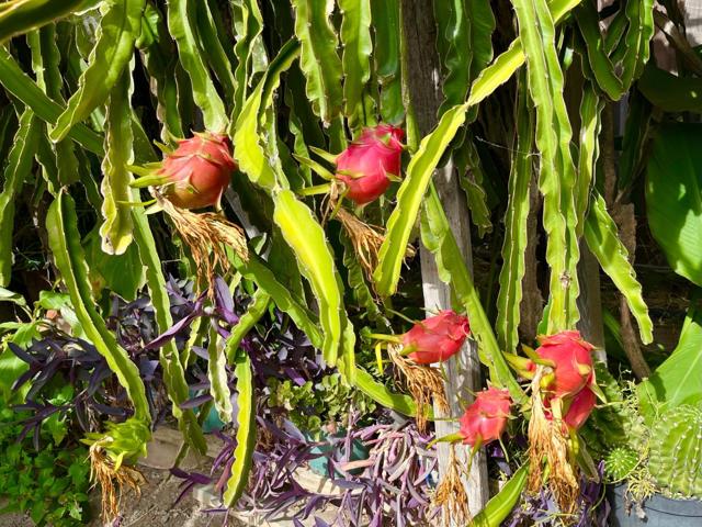 MLS #ML82010663 image #30