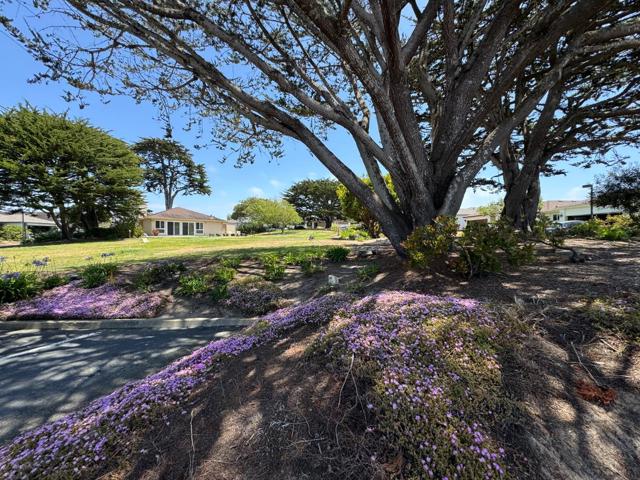 MLS #ML82010966 image #19