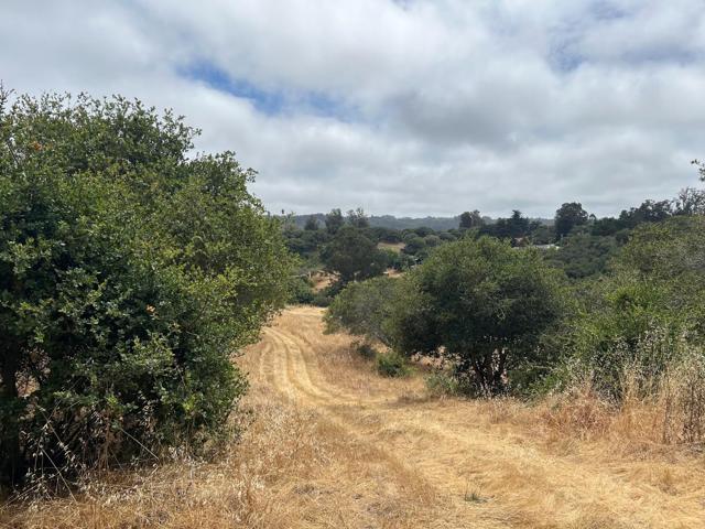 MLS #ML82011548 image #5