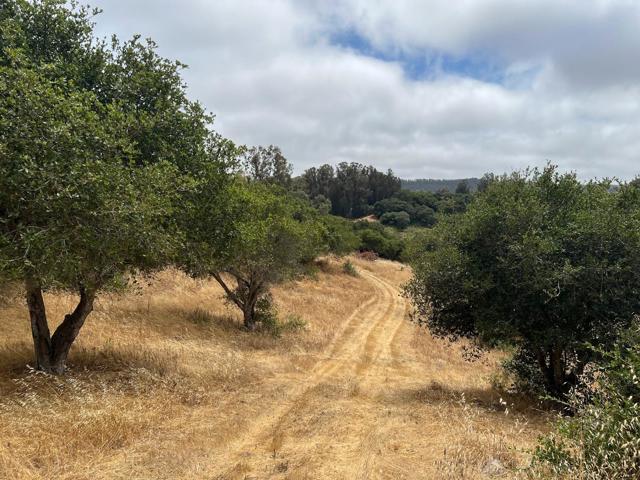 MLS #ML82011548 image #6