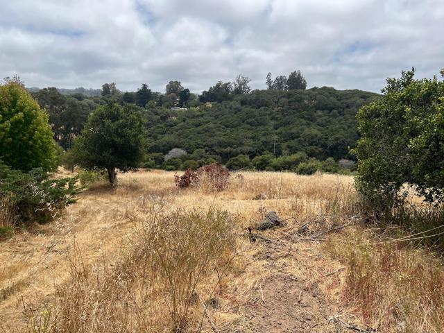 MLS #ML82011548 image #7