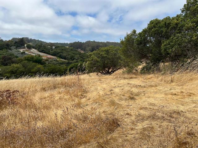 MLS #ML82011548 image #8