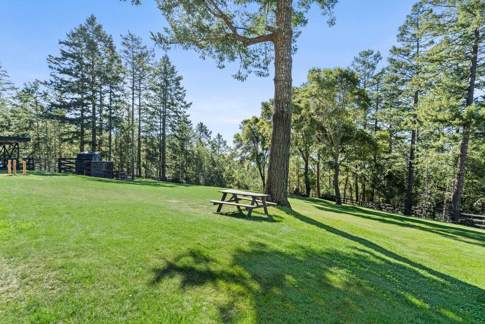 MLS #ML82012357 image #29