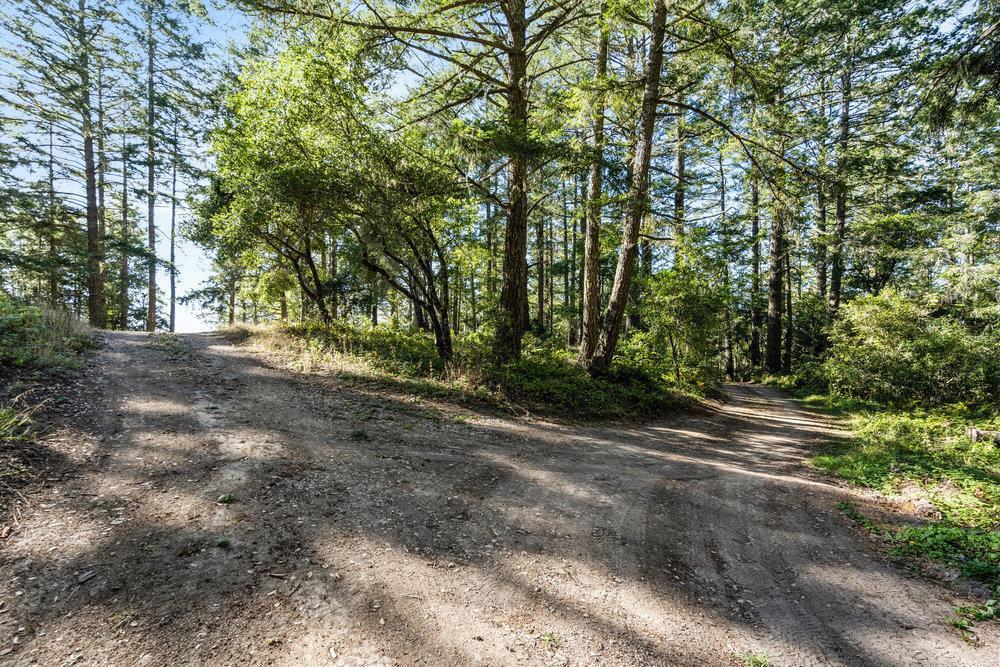 MLS #ML82012357 image #35